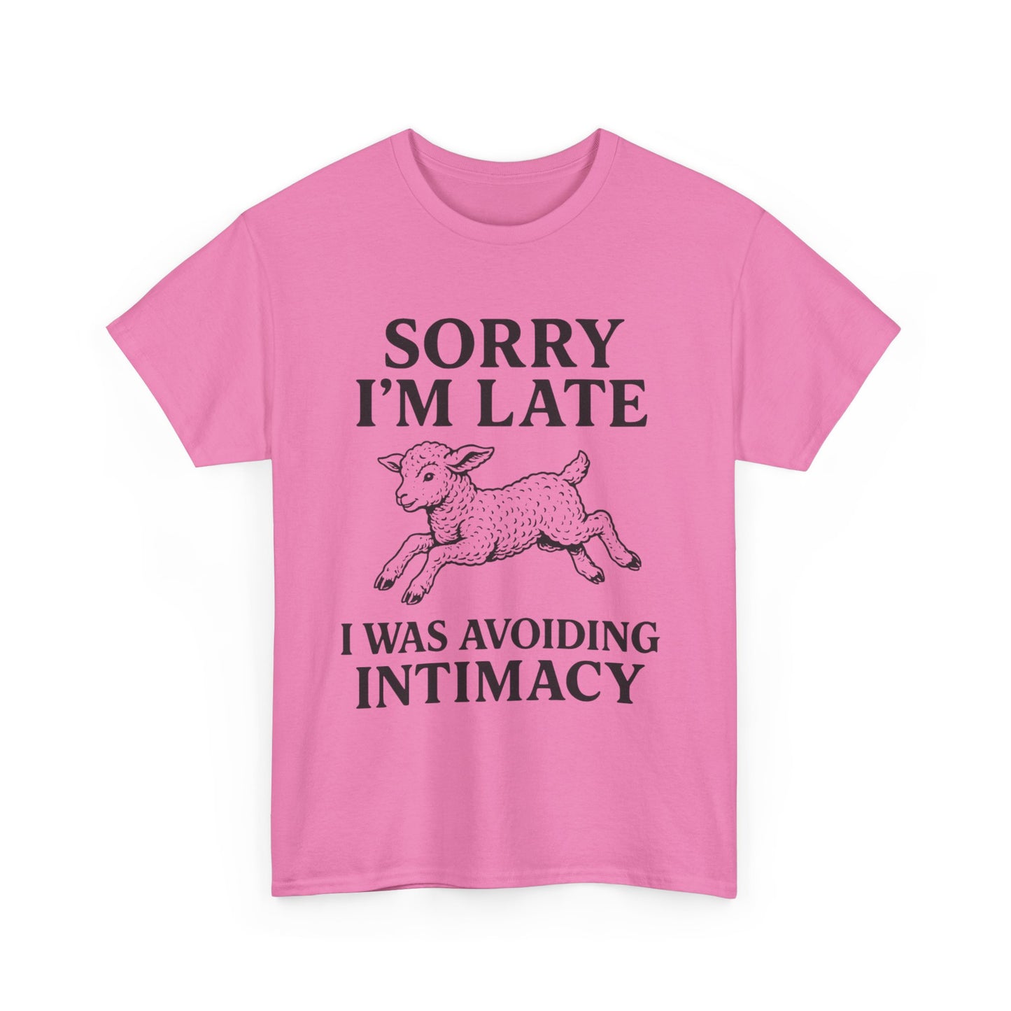 Sorry I’m Late – I Was Avoiding Intimacy | Vintage Lamb T-Shirt