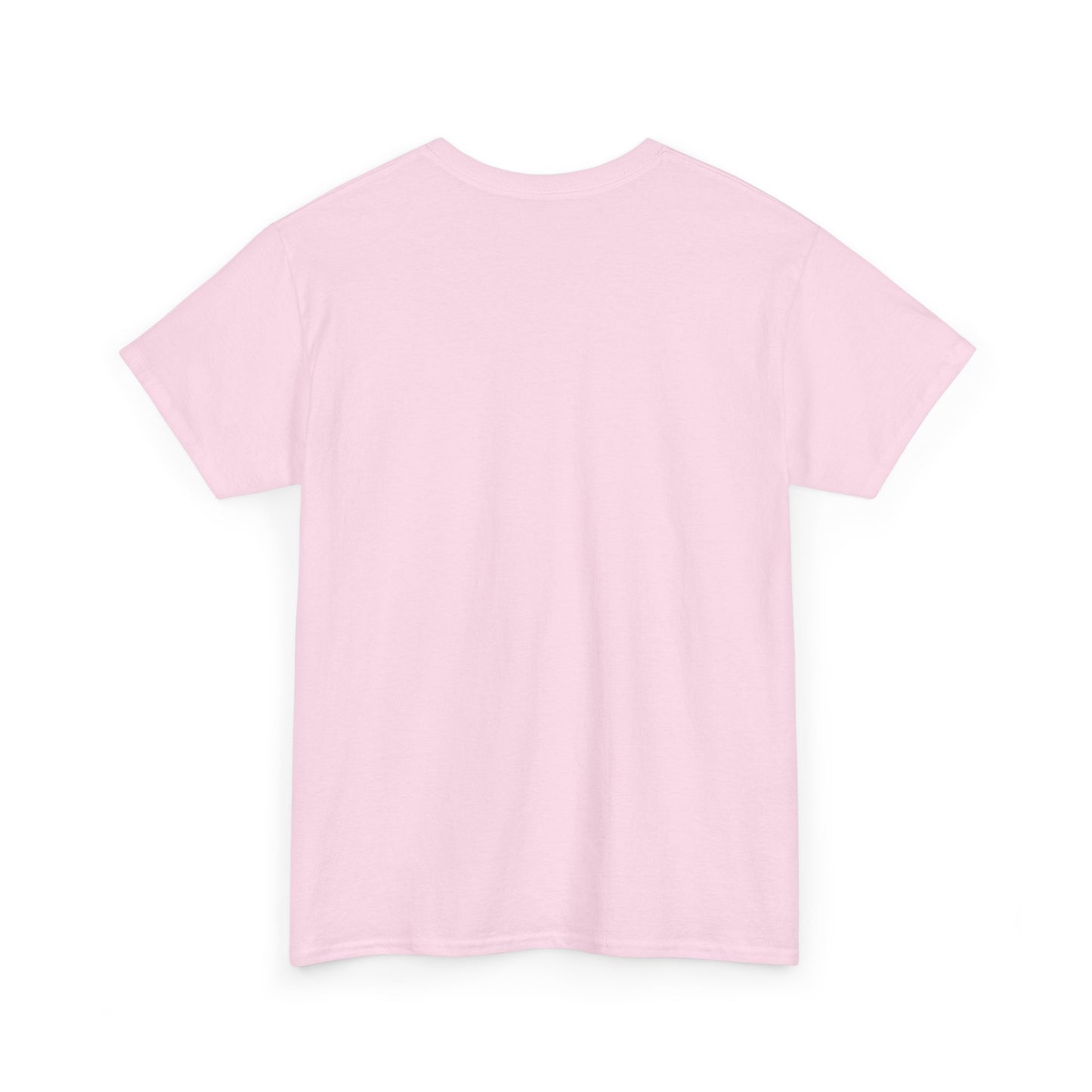 Back To School Madness | Irony 101 | T-Shirt | Lights