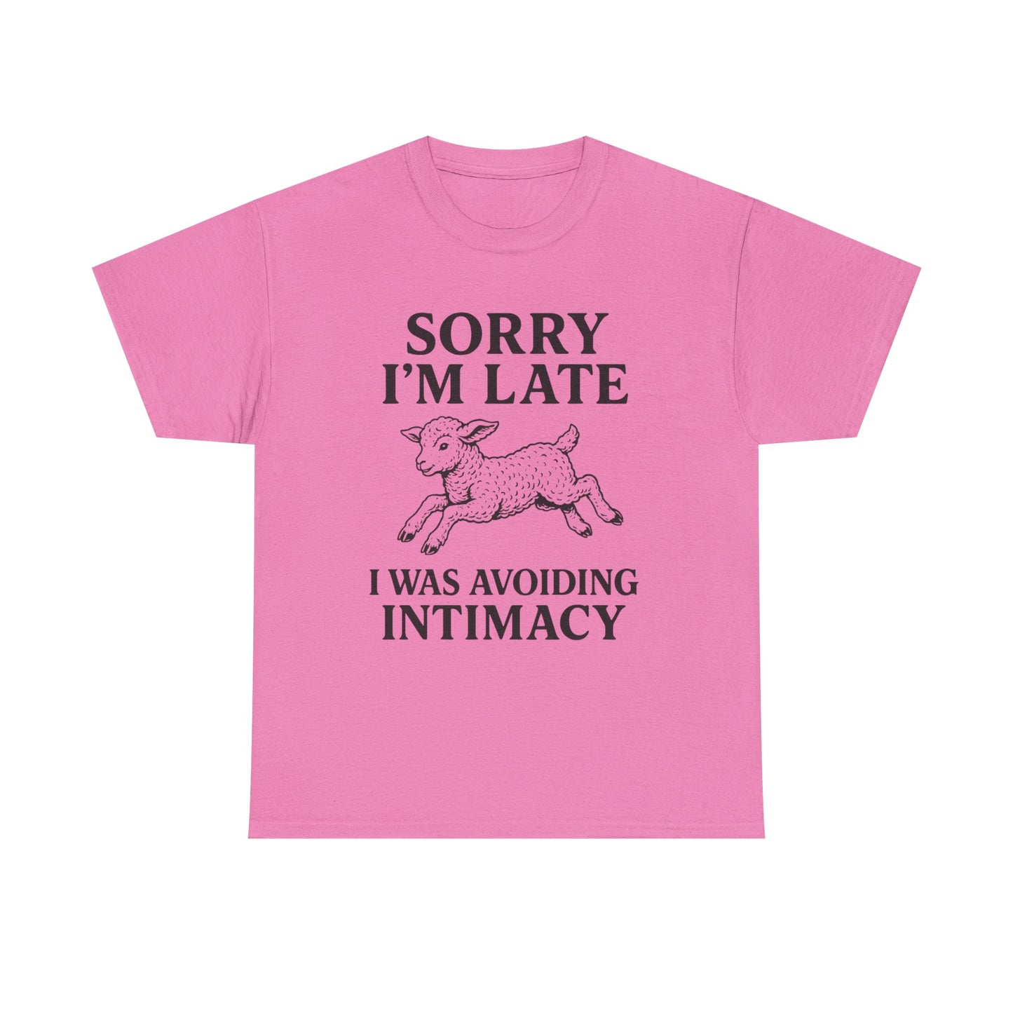 Sorry I’m Late – I Was Avoiding Intimacy | Vintage Lamb T-Shirt