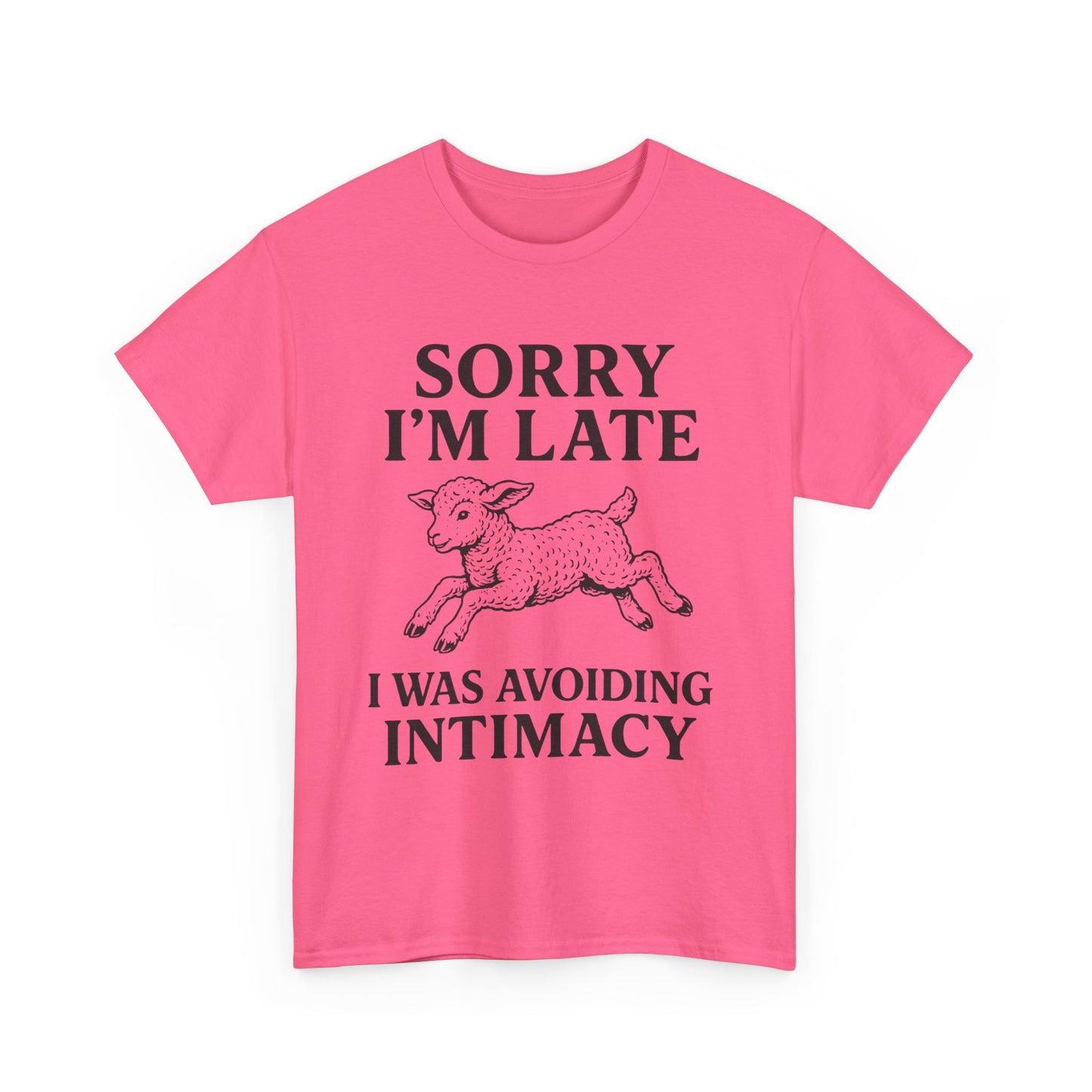 Sorry I’m Late – I Was Avoiding Intimacy | Vintage Lamb T-Shirt