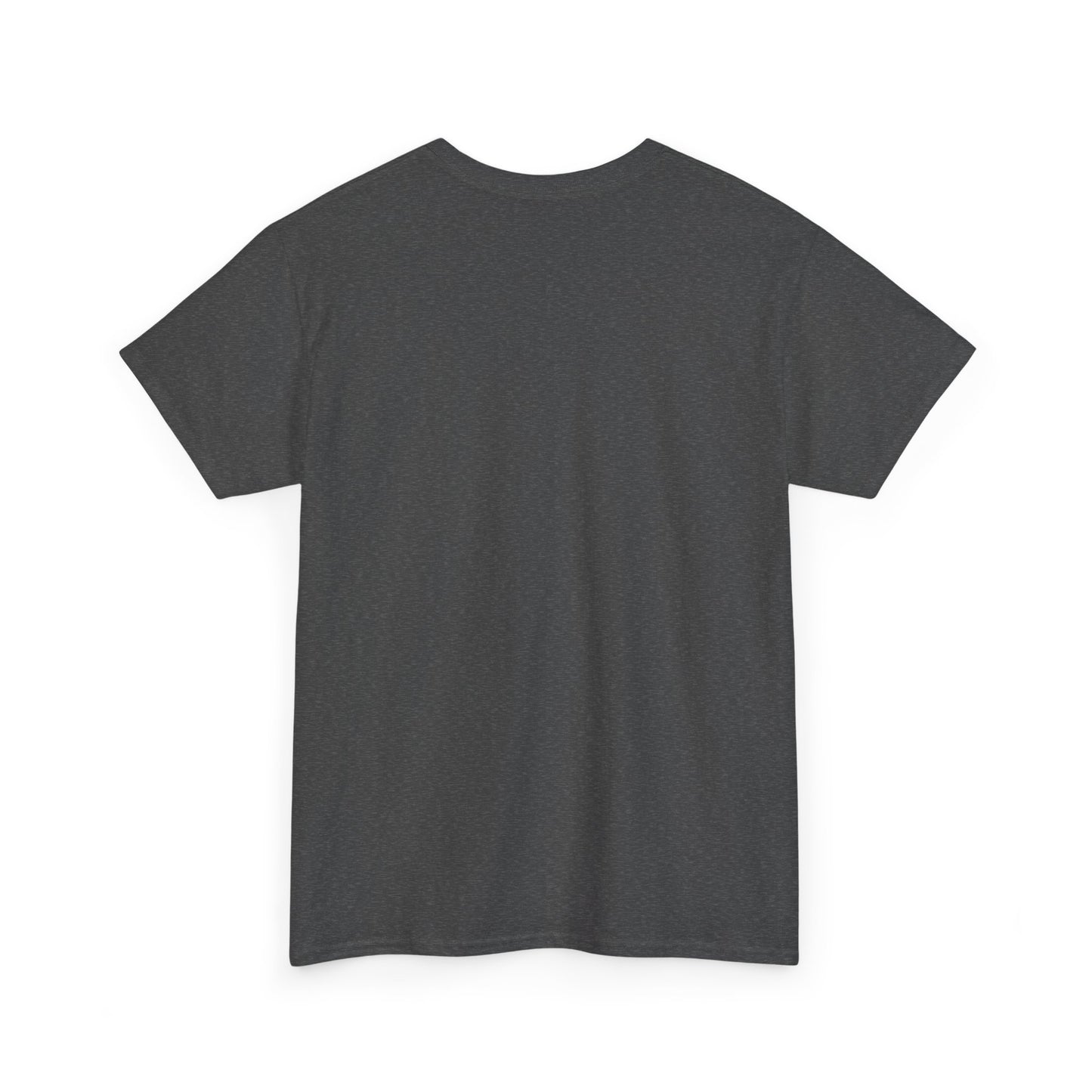 Not Your Shame to Carry Dark Col– Ironic Empowerment Tee
