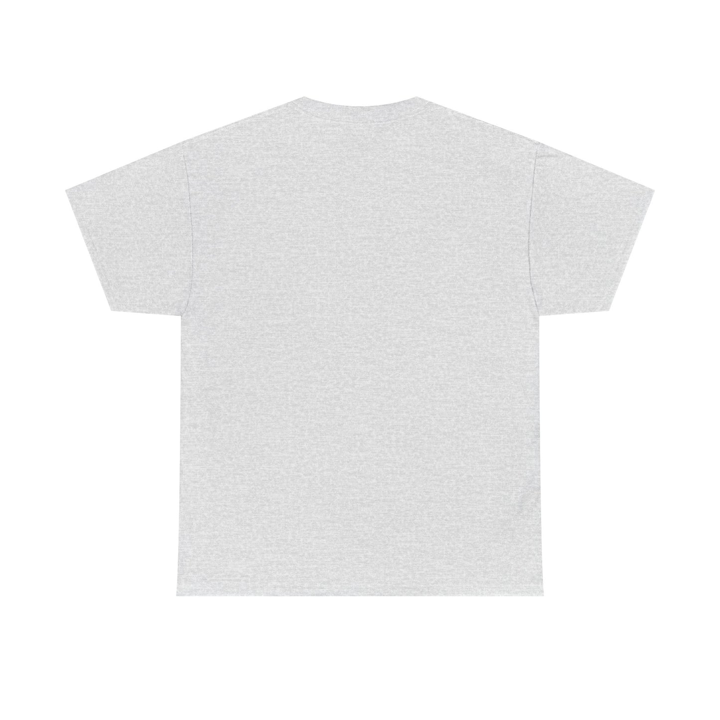 Back To School Madness | Irony 101 | T-Shirt | Lights