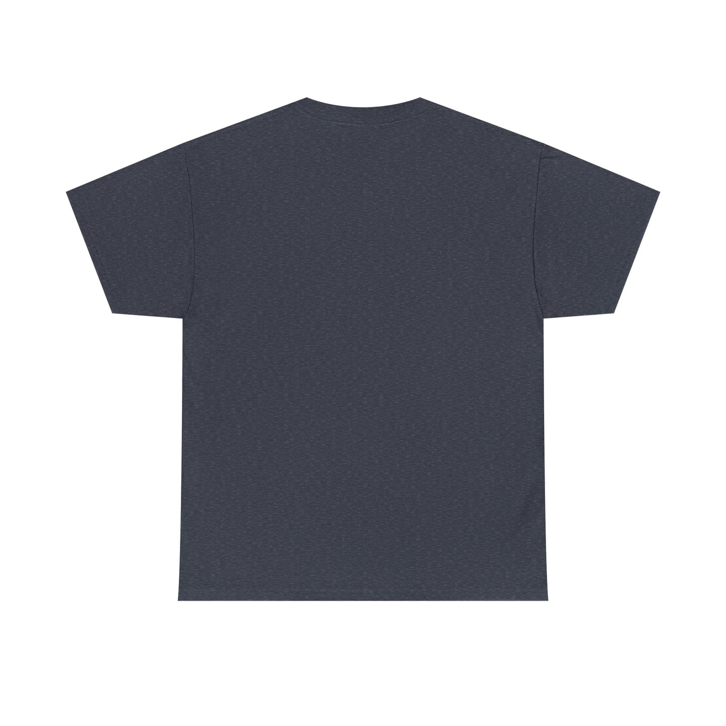 Not Your Shame to Carry Dark Col– Ironic Empowerment Tee